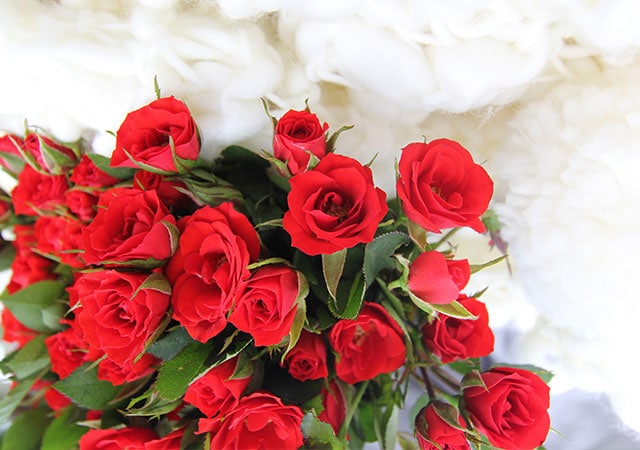A vibrant bouquet of red roses, symbolizing love and passion, arranged neatly in a bunch.