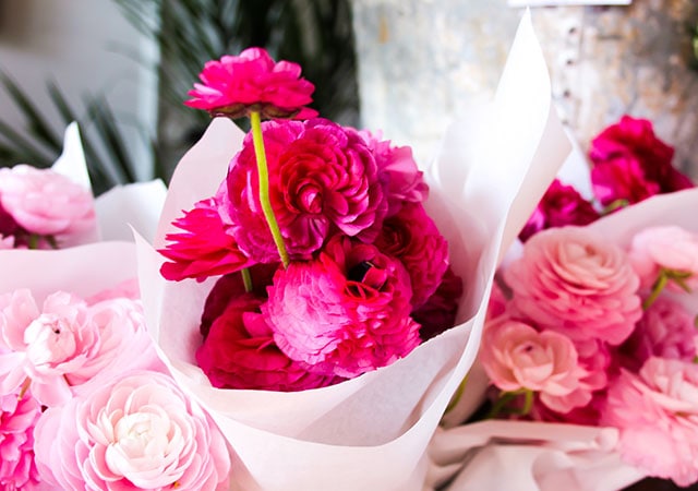 A cluster of vibrant pink flowers in full bloom.