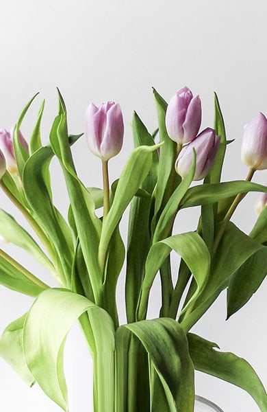 A vase filled with vibrant purple flowers, adding a touch of elegance and beauty to any space.