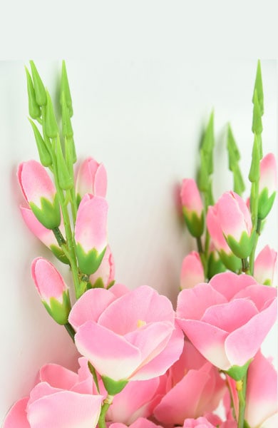 A bunch of pink flowers on a white surface, creating a vibrant and delicate display of nature's beauty.